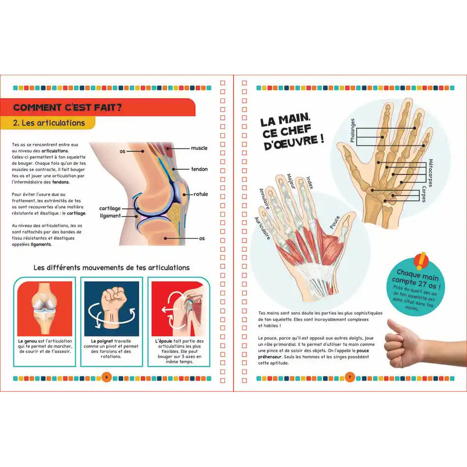 Le livre du corps humain-Petits Génies-Boutique LeoLudo