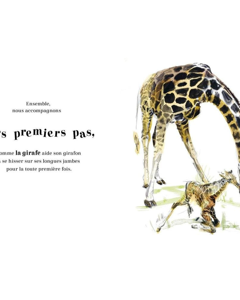 Toujours Ensemble Livres- Boutique LeoLudo