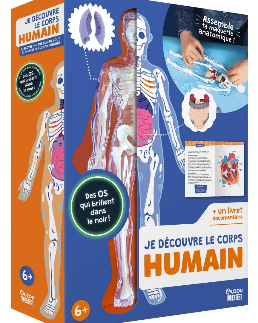 Auzou Lab' - Je découvre le corps humain -Jeux scientifiques- Boutique LeoLudo-Auzou