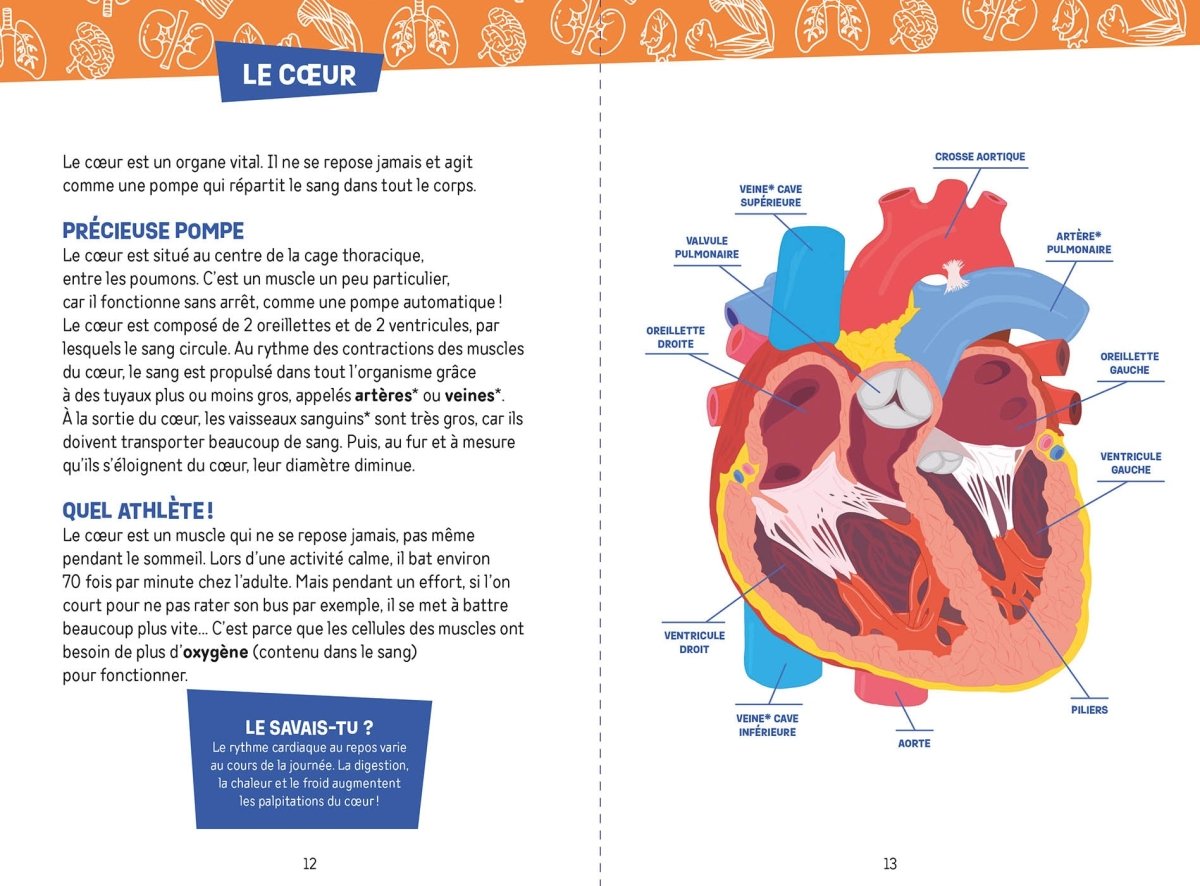 Auzou Lab' - Je découvre le corps humain -Jeux scientifiques- Boutique LeoLudo-Auzou
