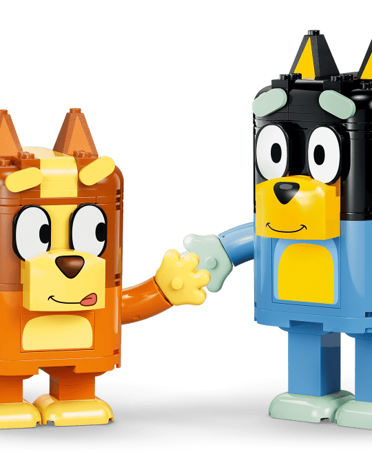 Bluey - Famille à construire (466 pcs.) – LEGO® -Ensembles de jeu- Boutique LeoLudo-LEGO