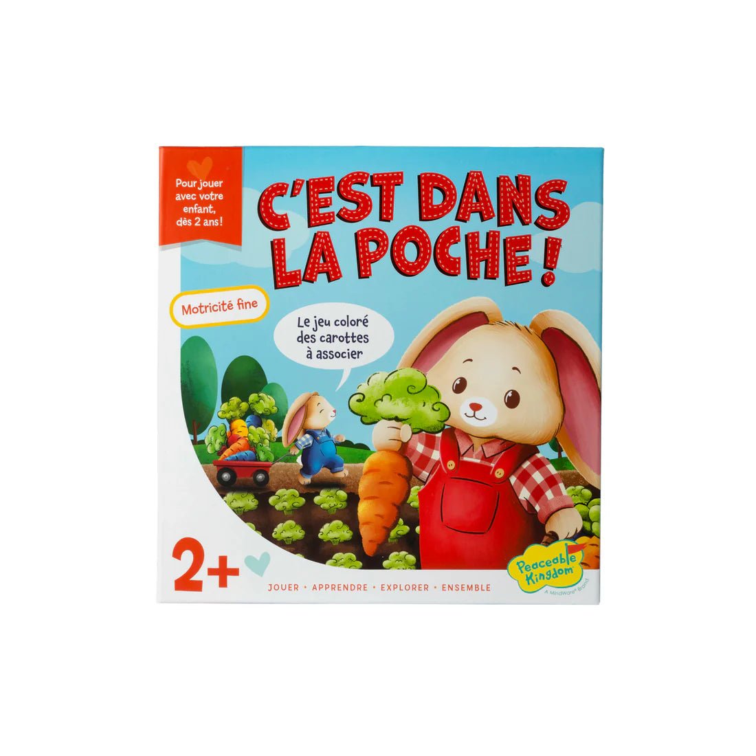 C'est dans la poche - Jeux de société - Boutique LeoLudo - Peaceable Kingdom