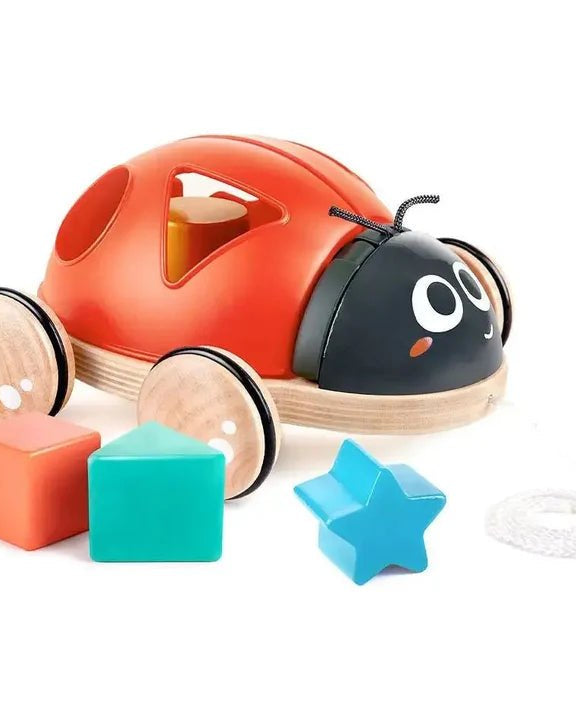 Coccinelle à formes à tirer - Jouets d'éveil - Boutique LeoLudo - Hape