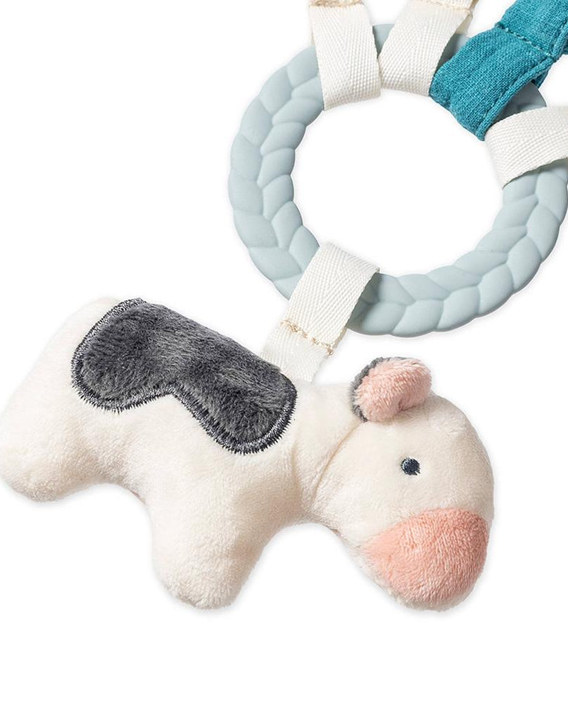 Coffret cadeau sensoriel bébé – Bitzy Busy Gift Set - Jouets d'éveil - Boutique LeoLudo - Itzy Ritzy Canada