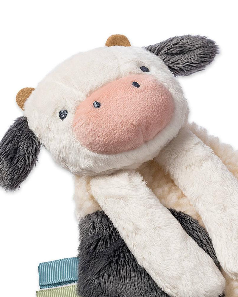 Coffret cadeau sensoriel bébé – Bitzy Busy Gift Set - Jouets d'éveil - Boutique LeoLudo - Itzy Ritzy Canada