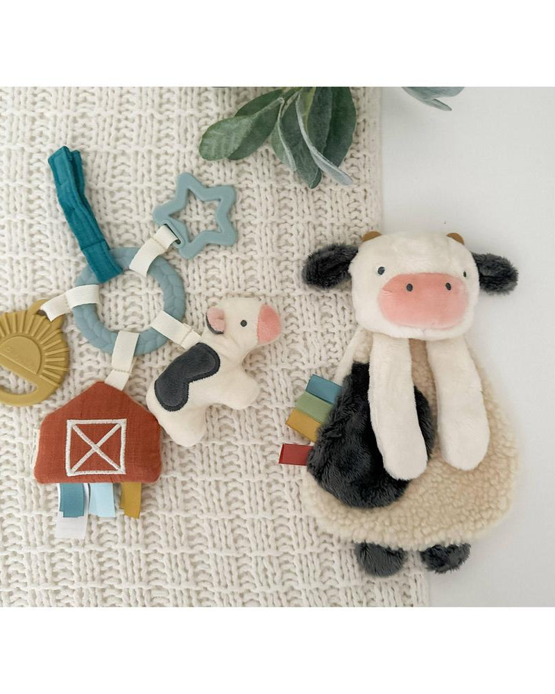 Coffret cadeau sensoriel bébé – Bitzy Busy Gift Set - Jouets d'éveil - Boutique LeoLudo - Itzy Ritzy Canada