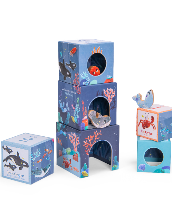 Cubes gigognes empilables Aventures de Paulie - Jouets à trier & empiler - Boutique LeoLudo - Moulin Roty