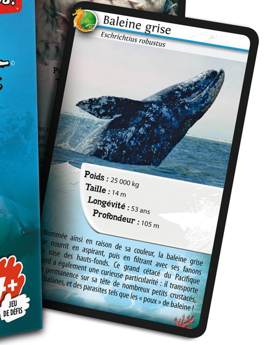 Défis Nature - Animaux marins - Jeux de société - Boutique LeoLudo - Bioviva