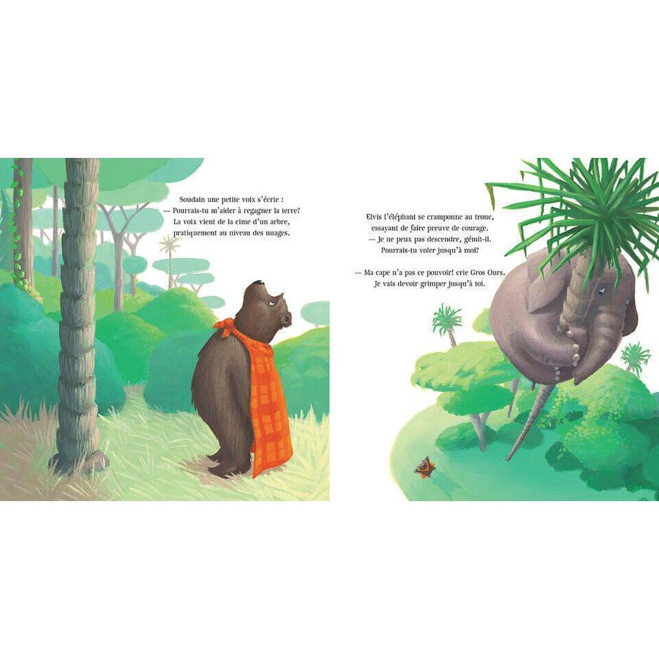Gros Ours superhéros - Livres - Boutique LeoLudo - Scholastic