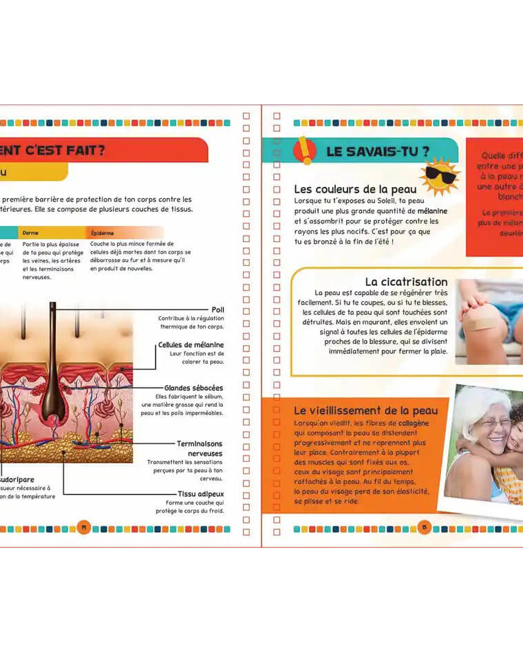 Le livre du corps humain - Livres - Boutique LeoLudo - Petits Génies
