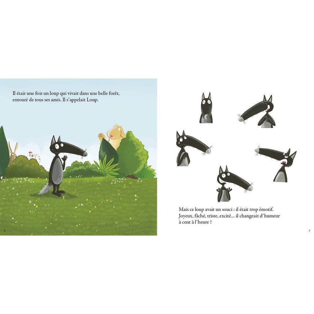 Le Loup qui apprivoisait ses émotions - Livres - Boutique LeoLudo - Auzou