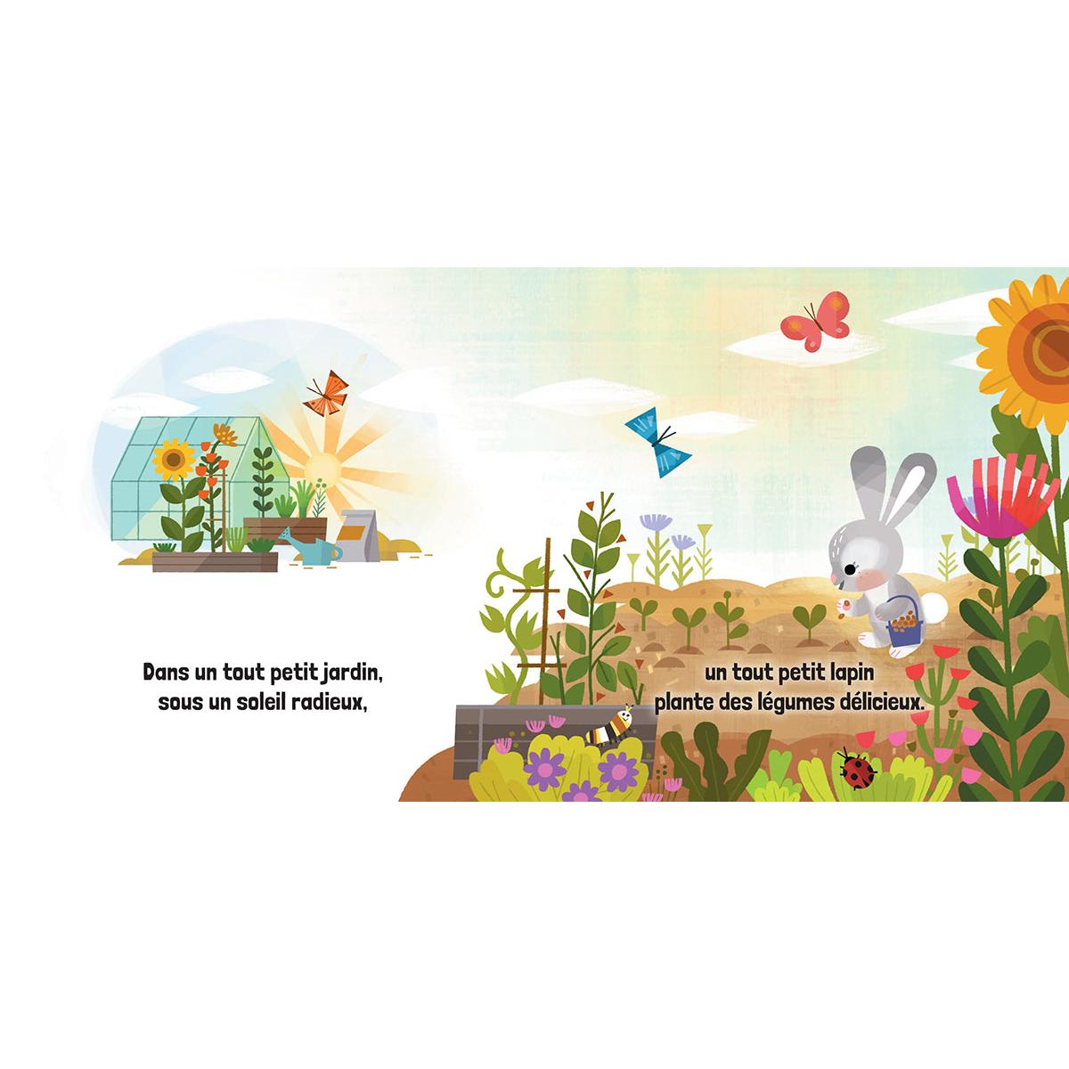 Le tout petit lapin (cartonné) - Livres - Boutique LeoLudo - Scholastic