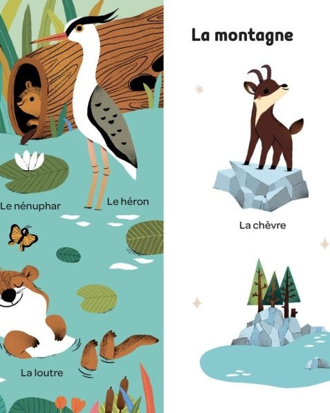 Mes 100 mots pour découvrir le monde - Livres d'éveil - Boutique LeoLudo - Auzou