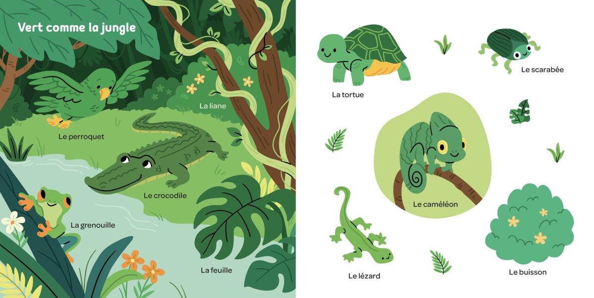 Mes 100 premiers mots tout en couleurs - Livres d'éveil - Boutique LeoLudo - Auzou