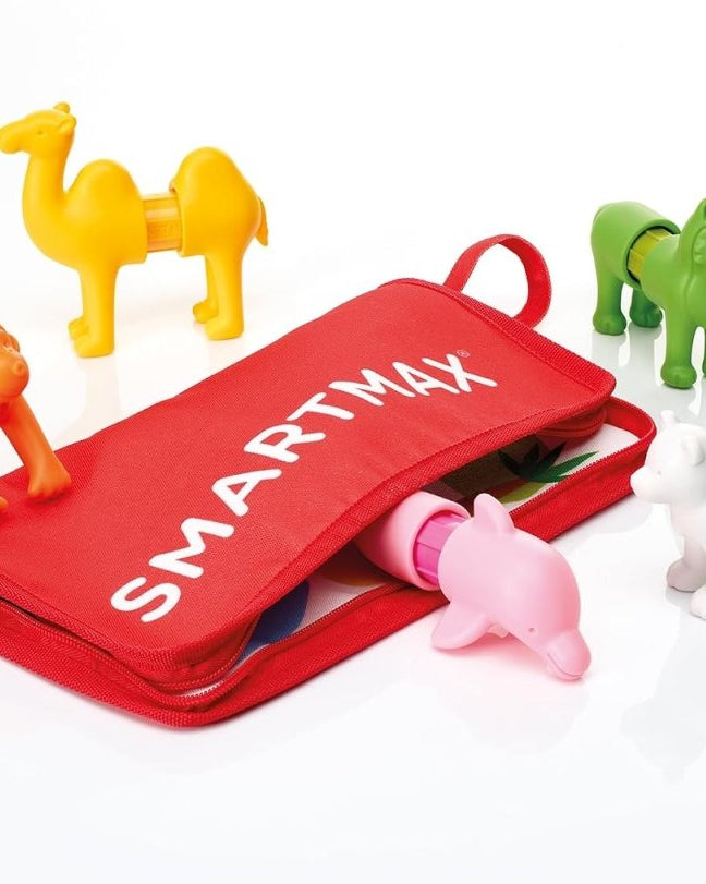 Mes premiers animaux autour du monde – Animaux magnétiques -Jeux magnétiques- Boutique LeoLudo-SmartMax