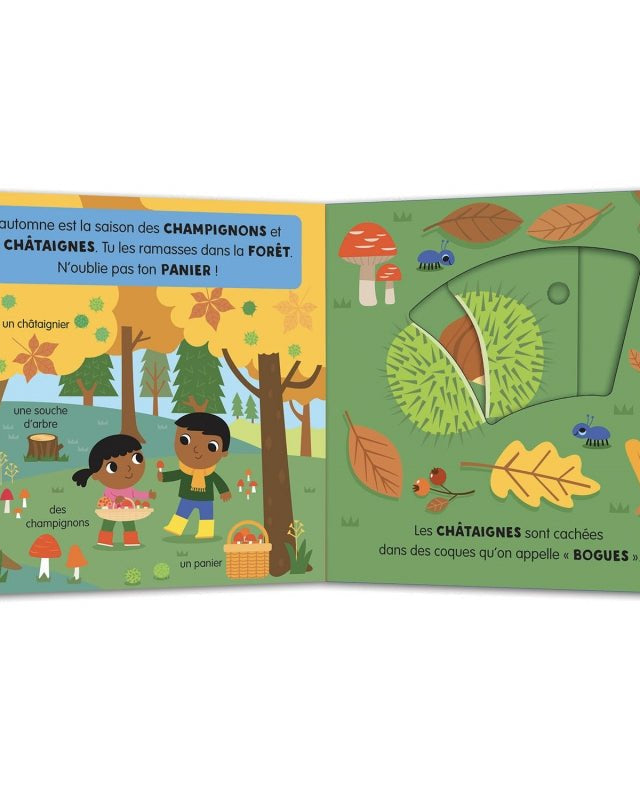 Mon Anim'agier - L'automne - Livres - Boutique LeoLudo - Auzou