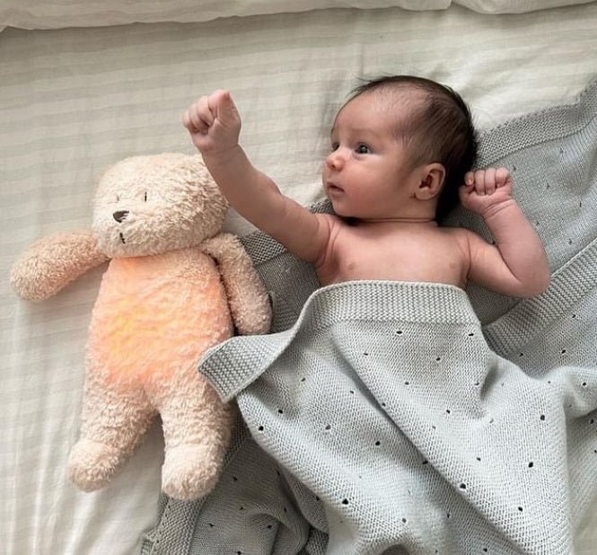 Ourson Sable Moonie – Peluche sonore biologique avec veilleuse - Jouets d'éveil - Boutique LeoLudo - moonie