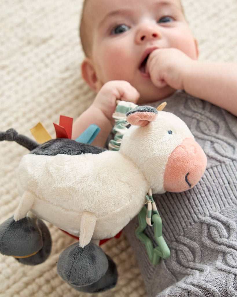Peluche d’activités sensorielle bébé – Vache Itzy Friends Link & Love™ - Jouets d'éveil - Boutique LeoLudo - Itzy Ritzy Canada