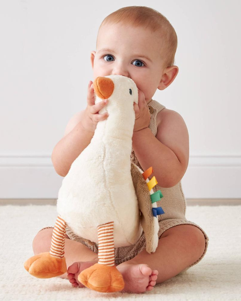 Peluche sensorielle bébé – Sweetie Snuggles™ - Peluches - Boutique LeoLudo - Itzy Ritzy Canada