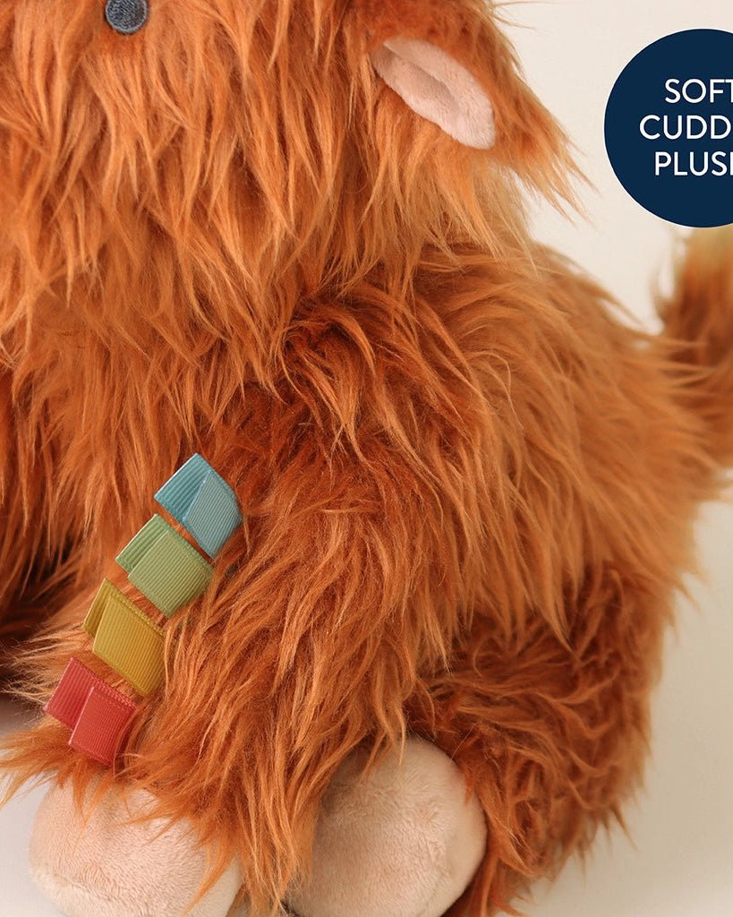 Peluche sensorielle bébé – Wyatt le Highland Cow -Peluches- Boutique LeoLudo-Itzy Ritzy Canada
