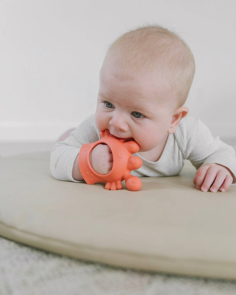 Pince à collation Crab Bitzy Grip - Jouets d'éveil - Boutique LeoLudo - Itzy Ritzy Canada