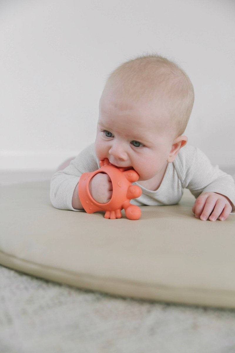 Pince à collation Crab Bitzy Grip - Jouets d'éveil - Boutique LeoLudo - Itzy Ritzy Canada