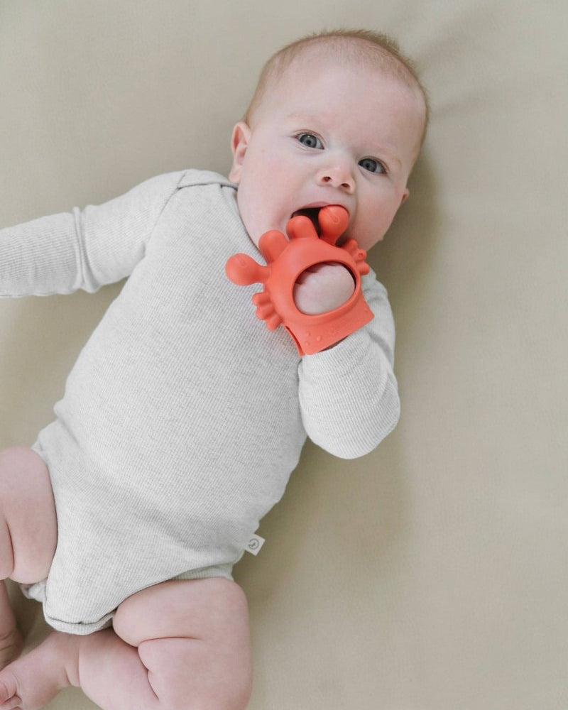 Pince à collation Crab Bitzy Grip - Jouets d'éveil - Boutique LeoLudo - Itzy Ritzy Canada