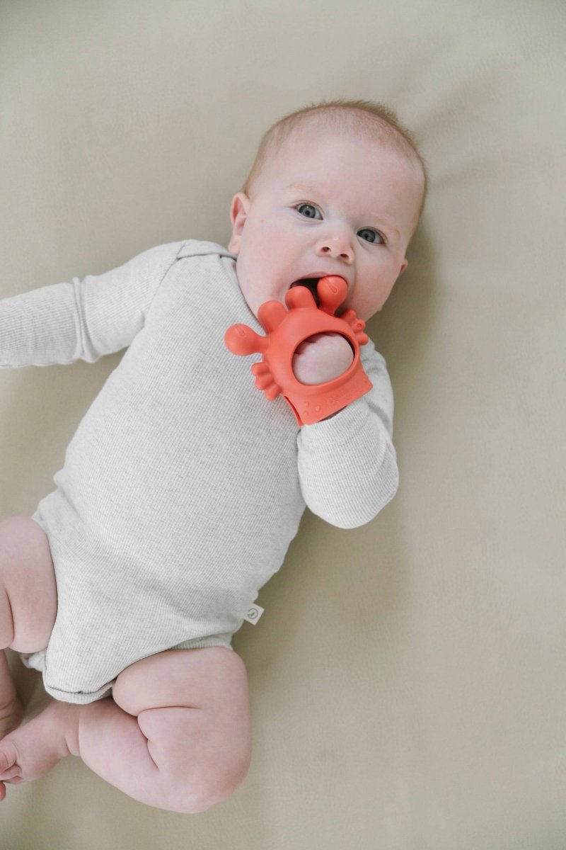 Pince à collation Crab Bitzy Grip - Jouets d'éveil - Boutique LeoLudo - Itzy Ritzy Canada