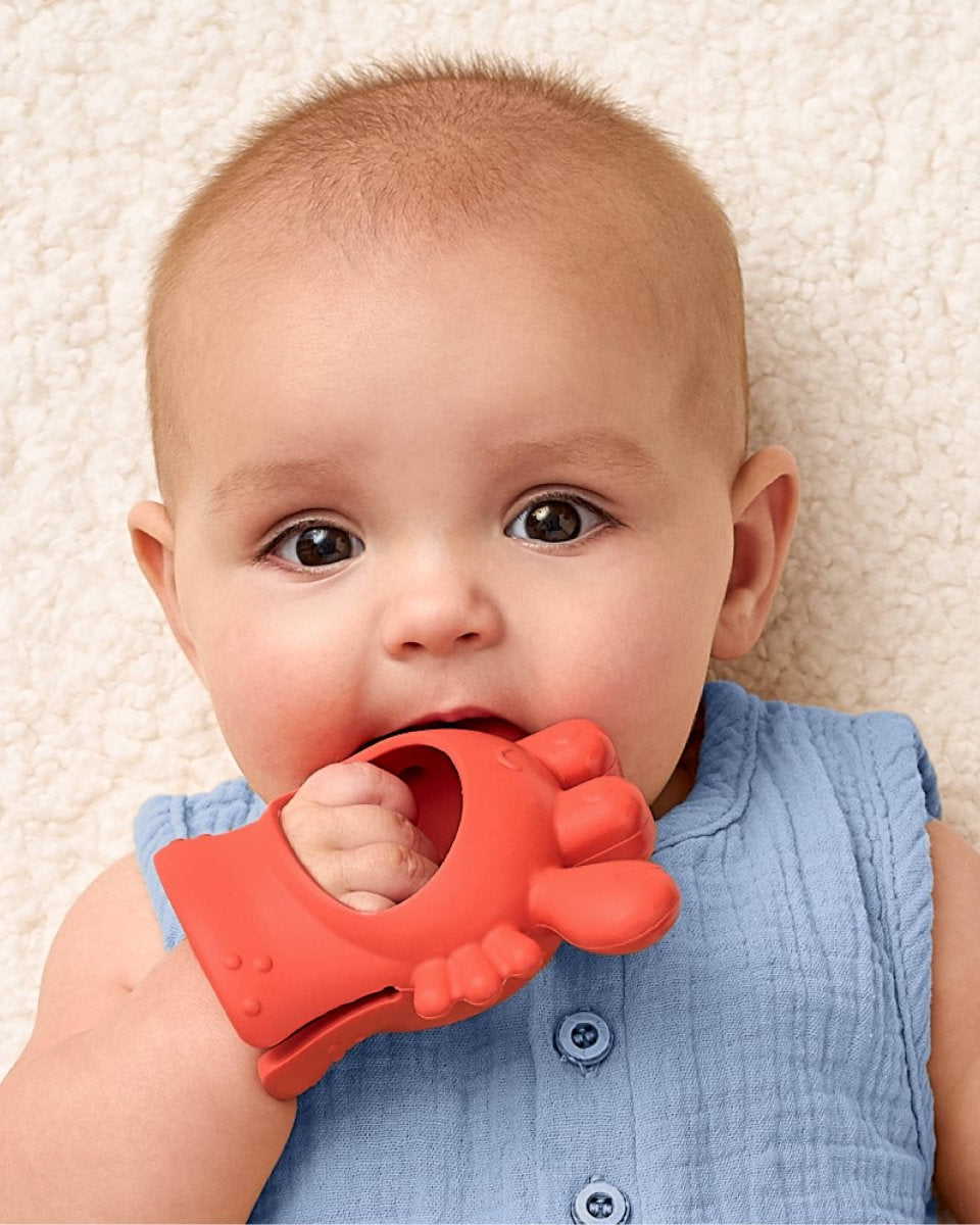 Pince à collation Crab Bitzy Grip - Jouets d'éveil - Boutique LeoLudo - Itzy Ritzy Canada