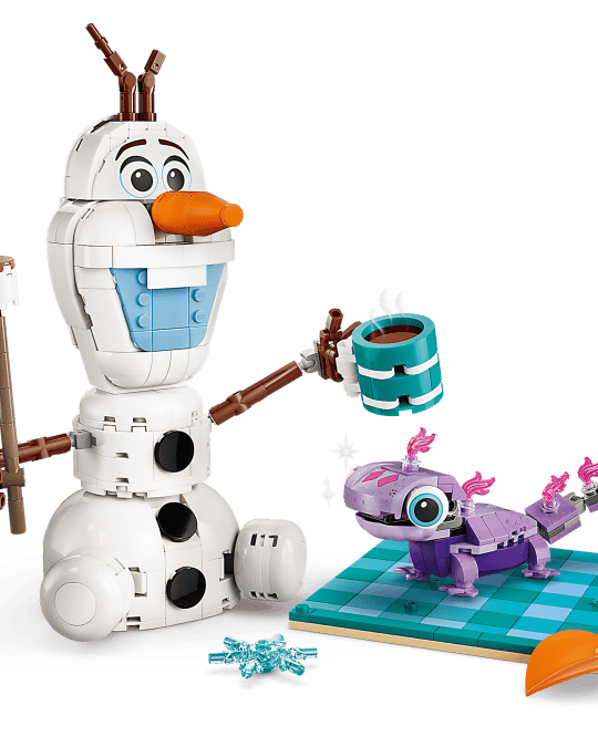 Pique - nique amusant d’Olaf et Bruni – LEGO Disney Frozen (478 pcs) - Jeux de construction - Boutique LeoLudo - LEGO