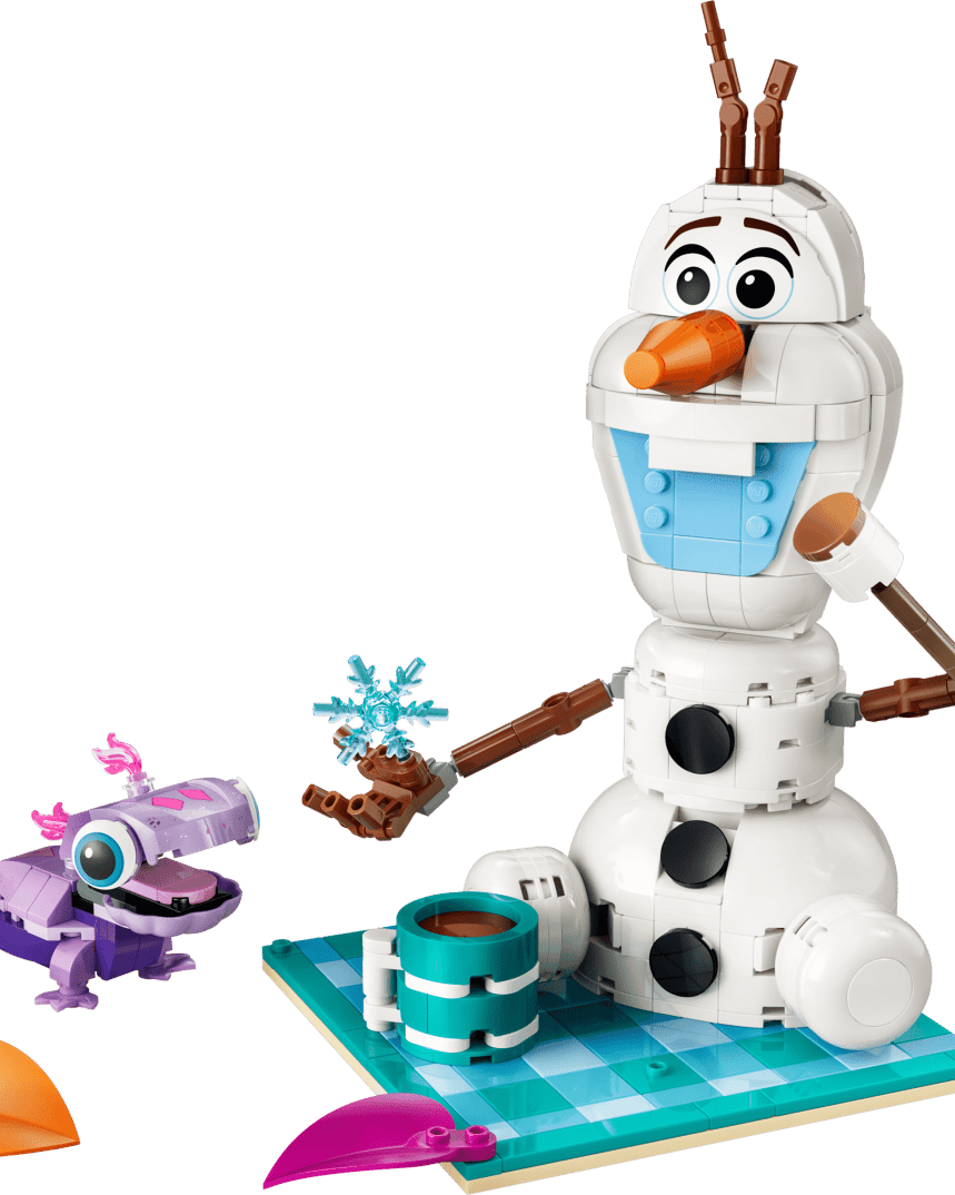 Pique - nique amusant d’Olaf et Bruni – LEGO Disney Frozen (478 pcs) - Jeux de construction - Boutique LeoLudo - LEGO