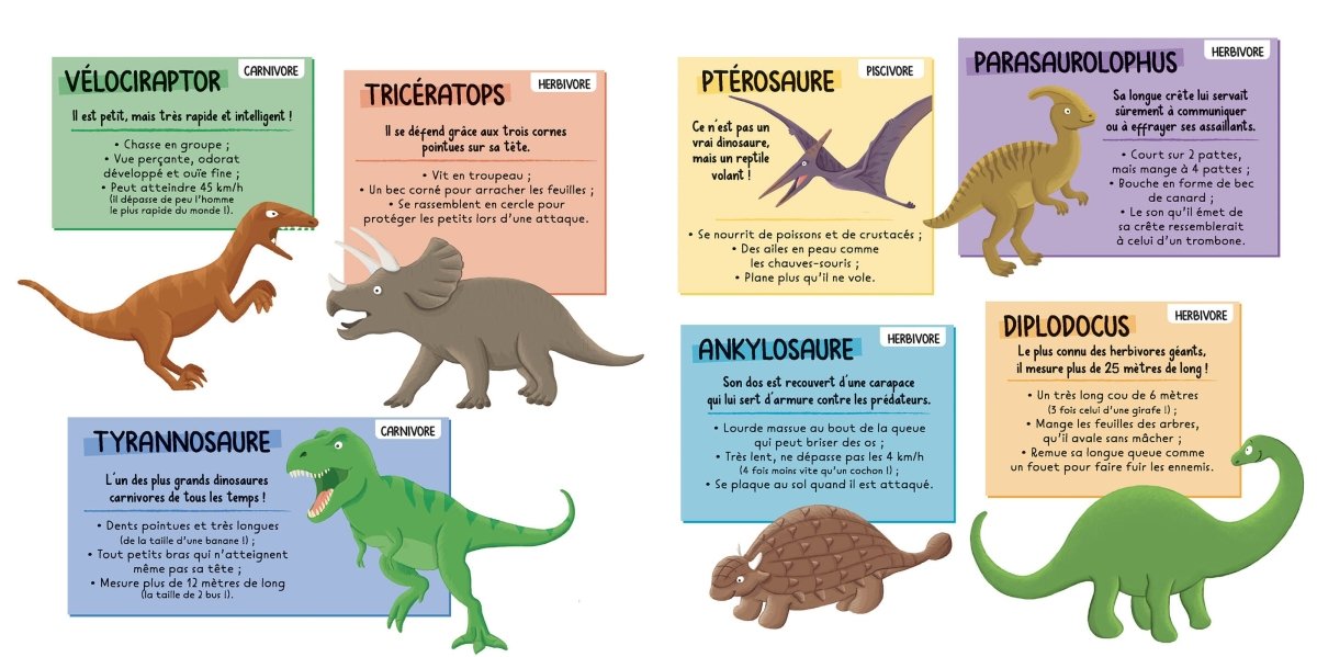 P'tit Loup adore les dinosaures -Livres- Boutique LeoLudo-Auzou