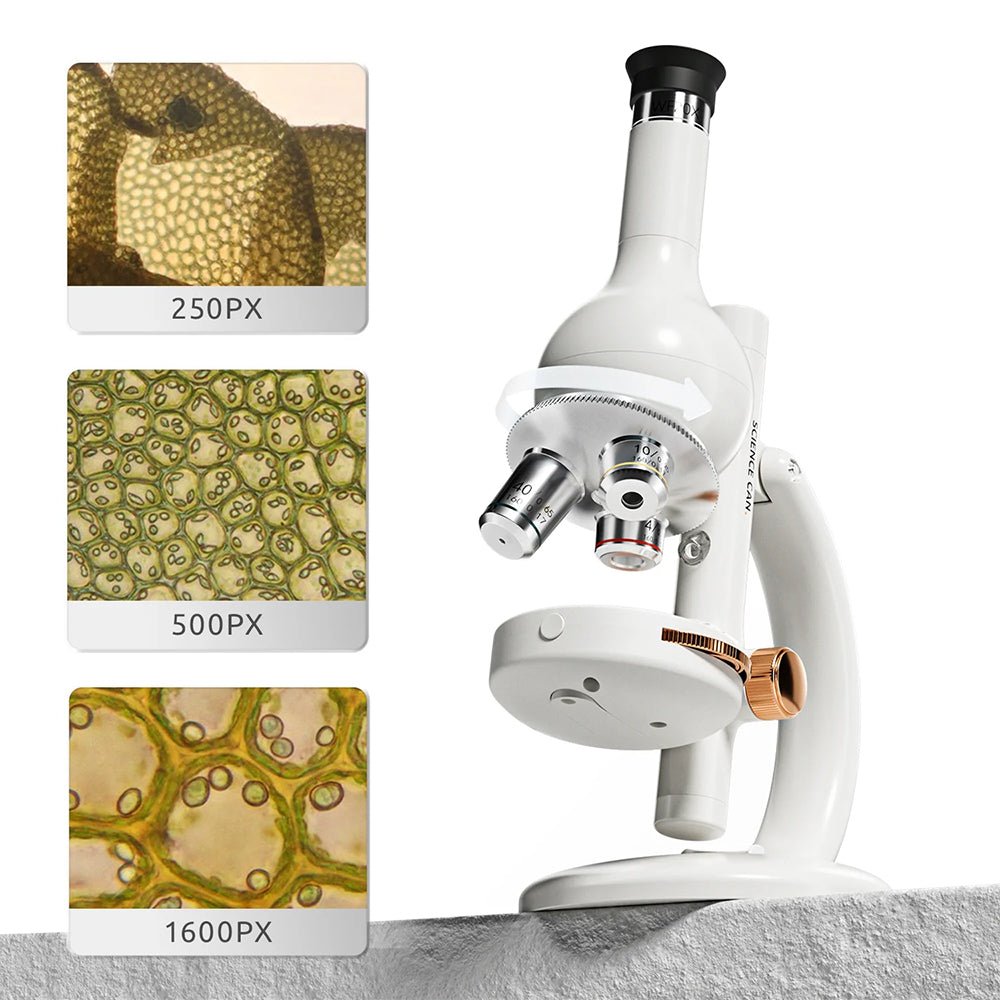 Science Can - Microscope Édition Labo -Jeux scientifiques- Boutique LeoLudo-Science Can