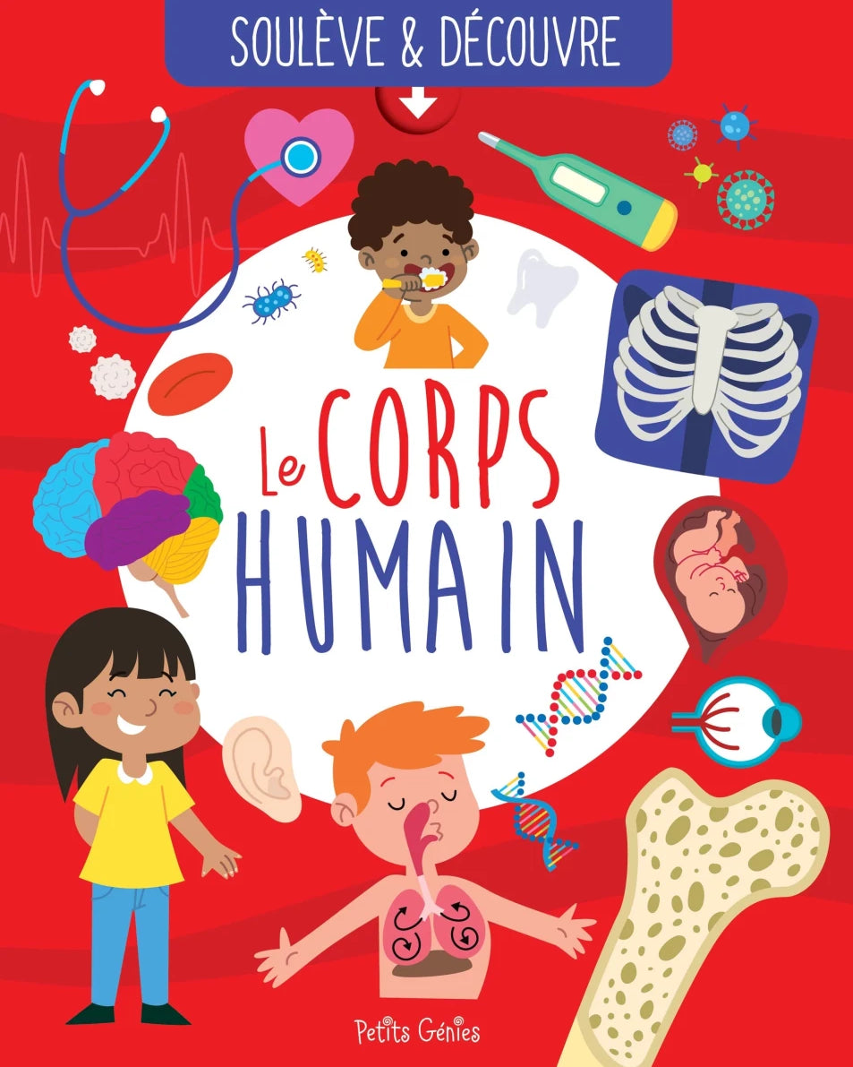 Soulève & découvre: Le corps humain - Livres - Boutique LeoLudo - Petits Génies