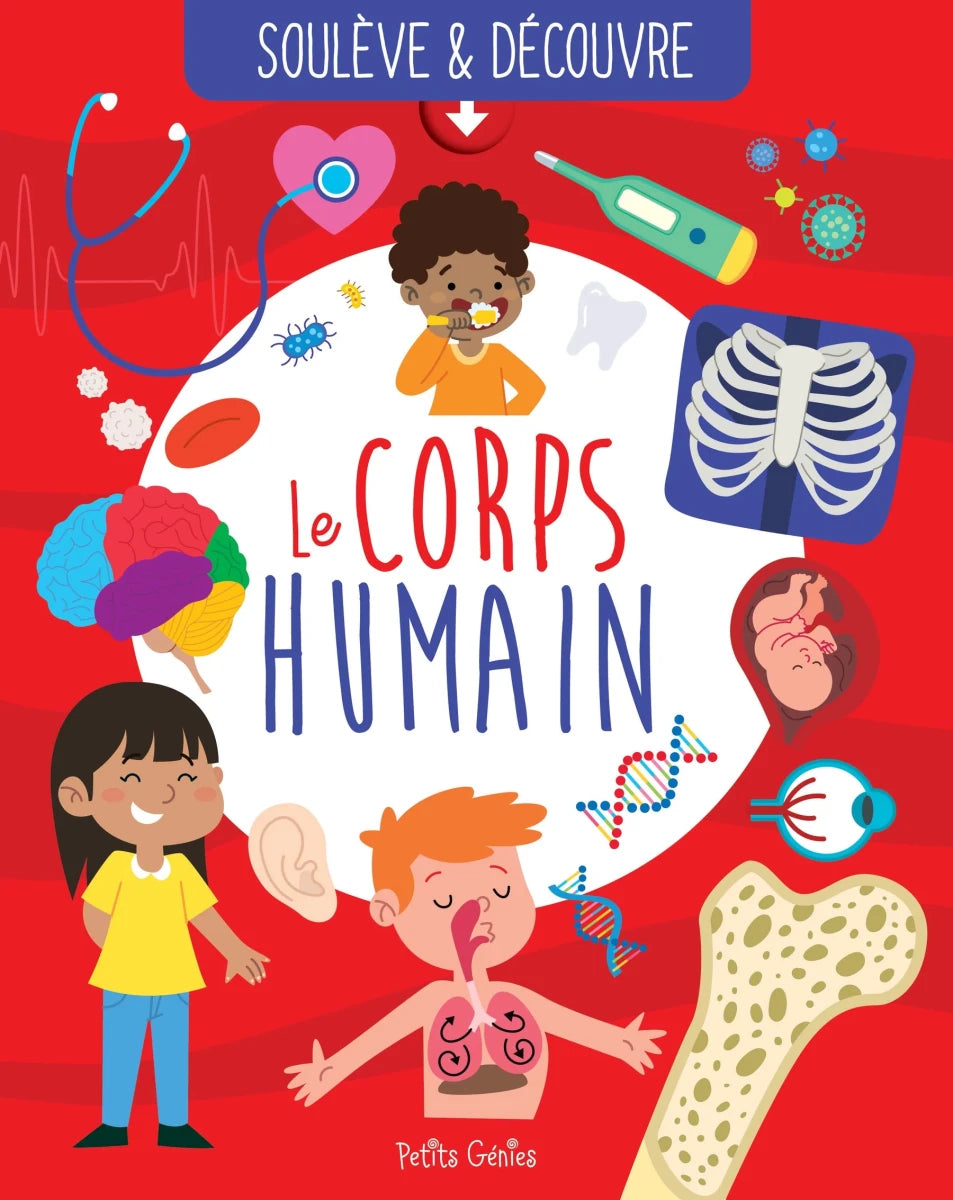 Soulève & découvre: Le corps humain - Livres - Boutique LeoLudo - Petits Génies