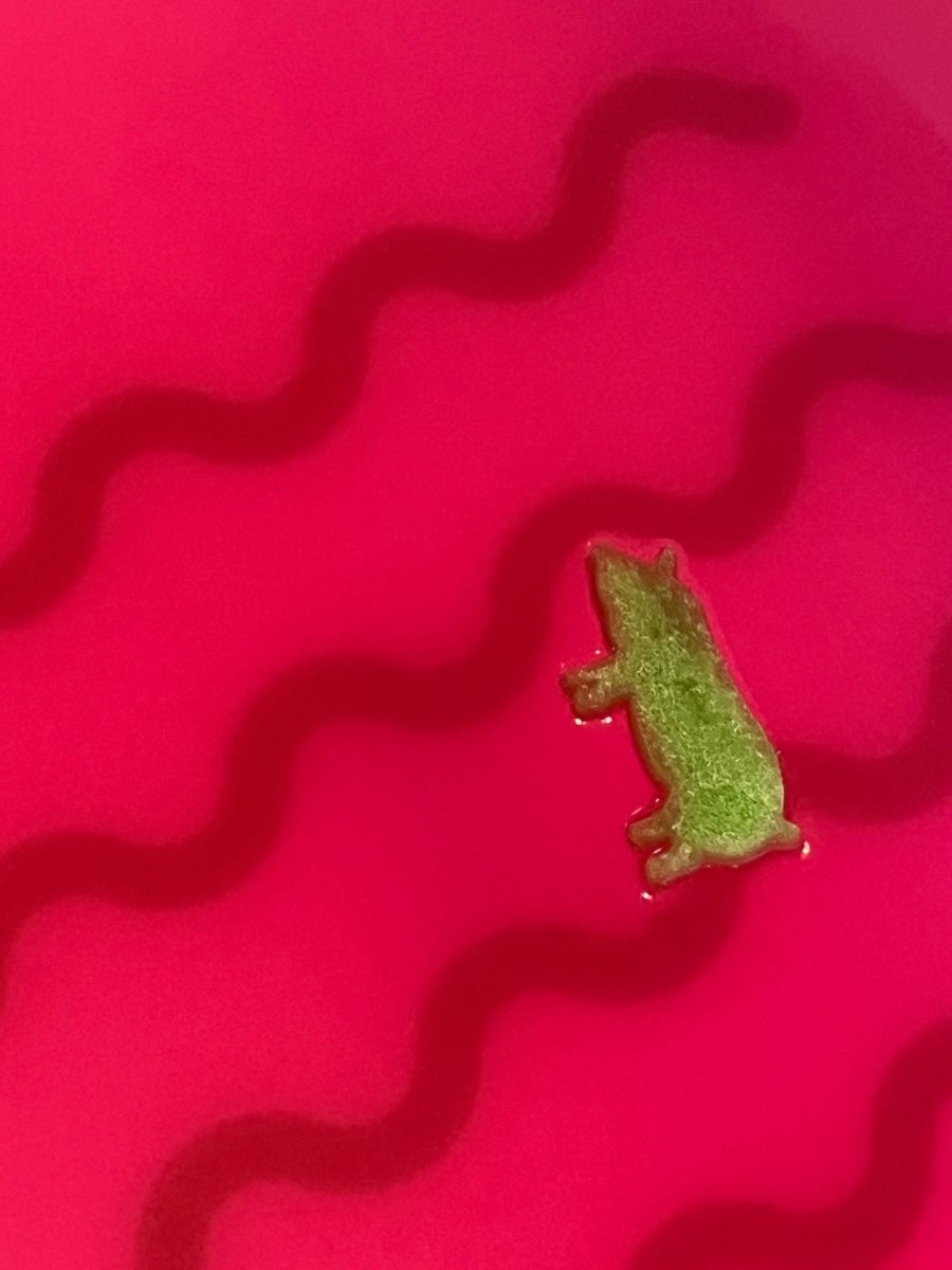 Squigglers du printemps – paquet de 3 bombes effervescentes de bain pour enfants - Jouets de bain - Boutique LeoLudo - Loot