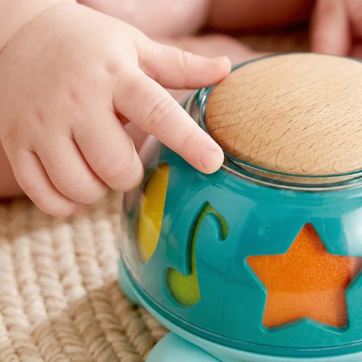 Tortue musicale « Twist & Tune » - Jouets d'éveil - Boutique LeoLudo - Hape