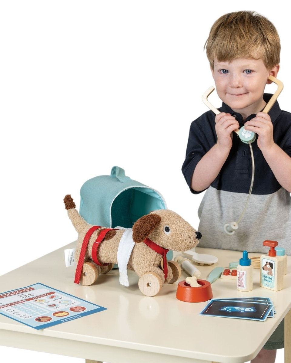 Trousse vétérinaire de sauvetage animalier -Jouets d'imitation- Boutique LeoLudo-Tender Leaf Toys