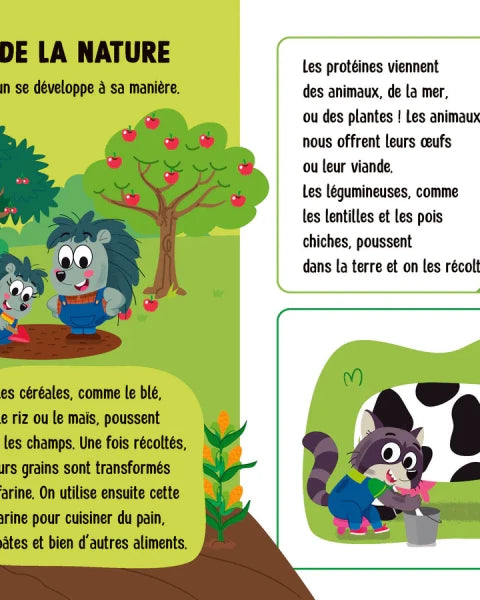 Un pas à la fois : La nourriture - Livres - Boutique LeoLudo - Petits Génies