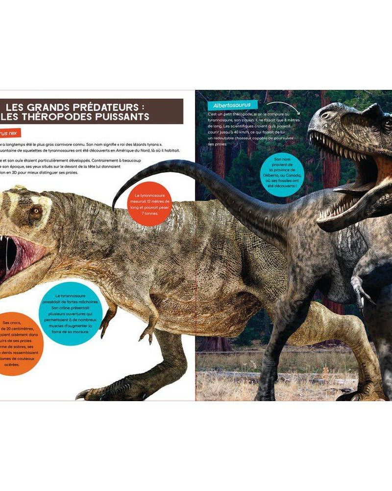 À la découverte des dinosaures - Livres - Boutique LeoLudo - Petits Génies