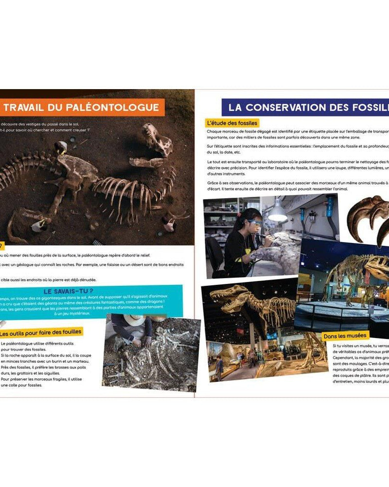 À la découverte des dinosaures - Livres - Boutique LeoLudo - Petits Génies