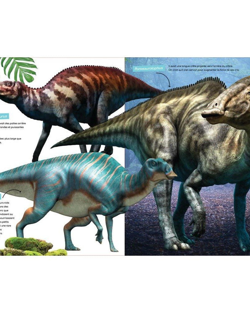 À la découverte des dinosaures - Livres - Boutique LeoLudo - Petits Génies