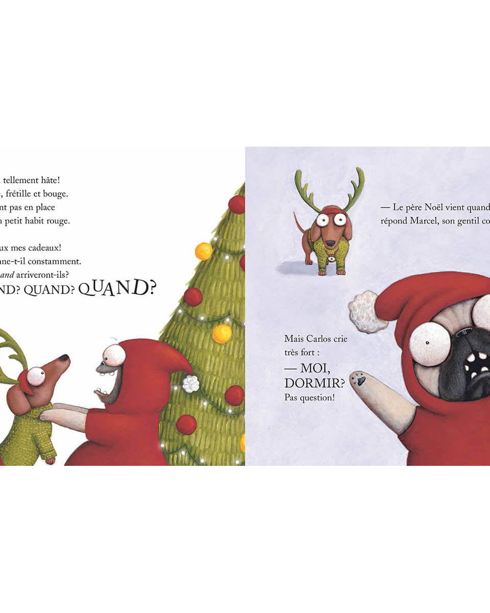 Carlos le lutin -Livres- Boutique LeoLudo-Scholastic