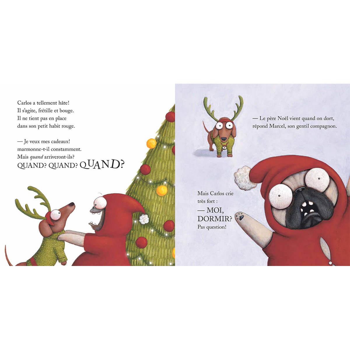 Carlos le lutin -Livres- Boutique LeoLudo-Scholastic