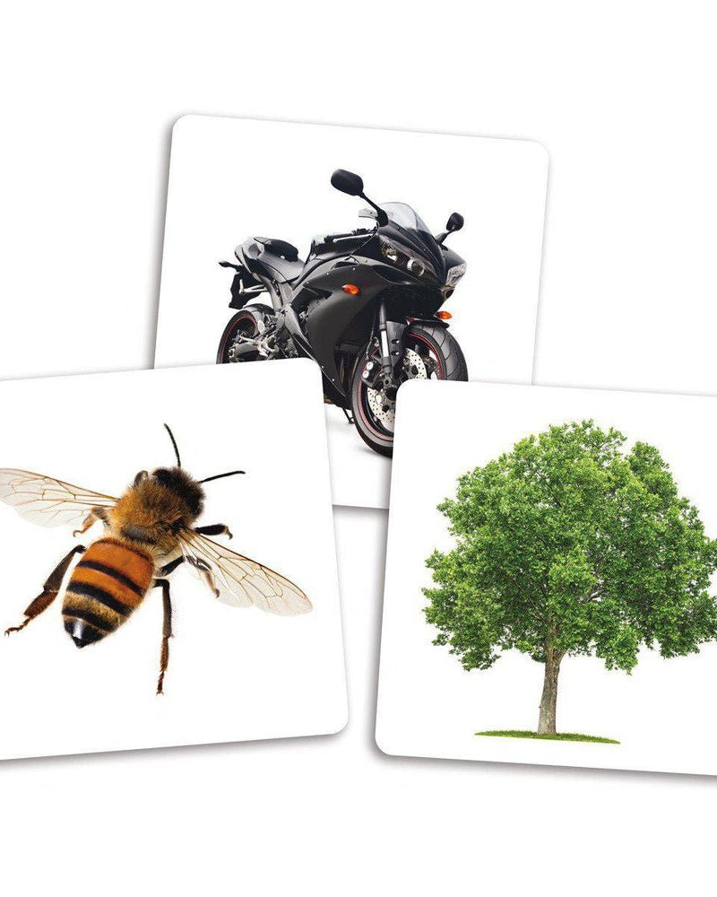 Cartes supplémentaires pour Dé des premiers mots - Jeux éducatifs - Boutique LeoLudo - Placote