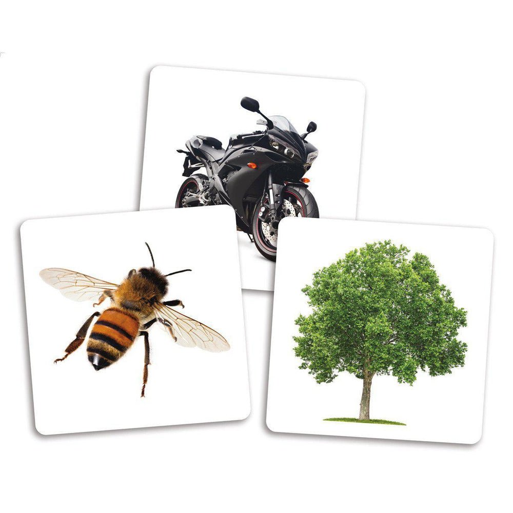 Cartes supplémentaires pour Dé des premiers mots - Jeux éducatifs - Boutique LeoLudo - Placote