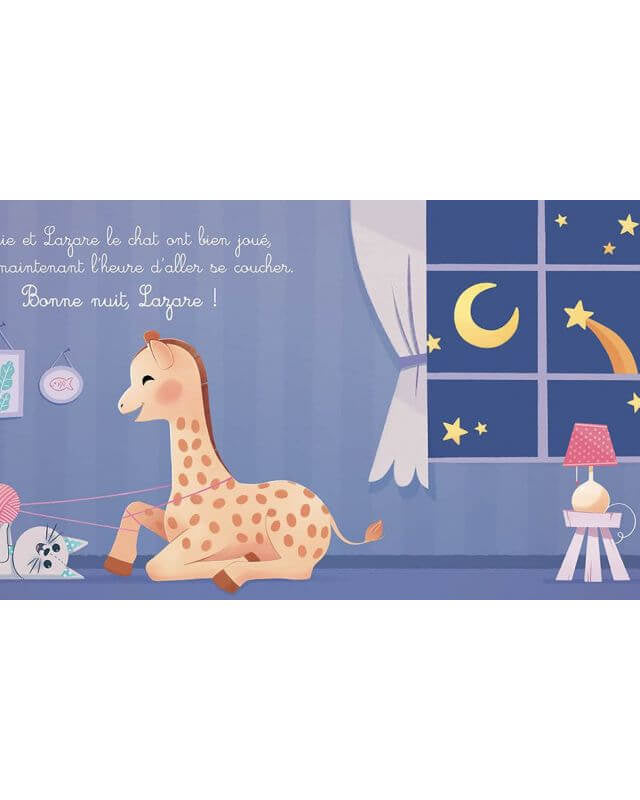Coffret d'éveil - Mes histoires de Sophie la girafe - Livres d'éveil - Boutique LeoLudo - Auzou