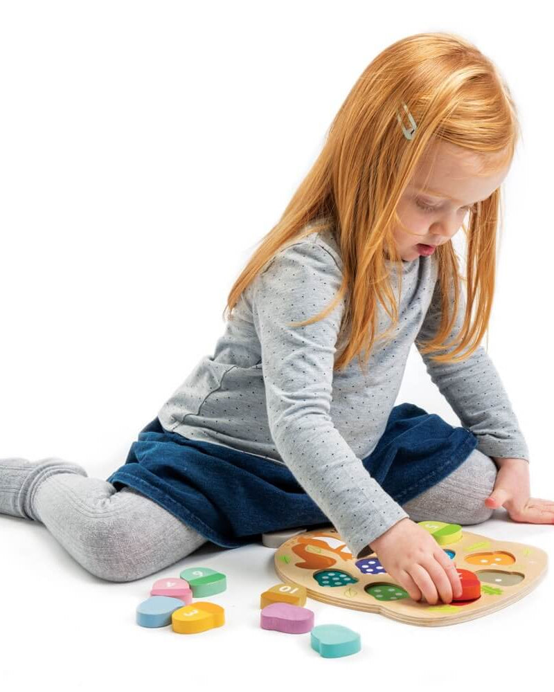 Combien de glands ? - Jeux éducatifs - Boutique LeoLudo - Tender Leaf Toys