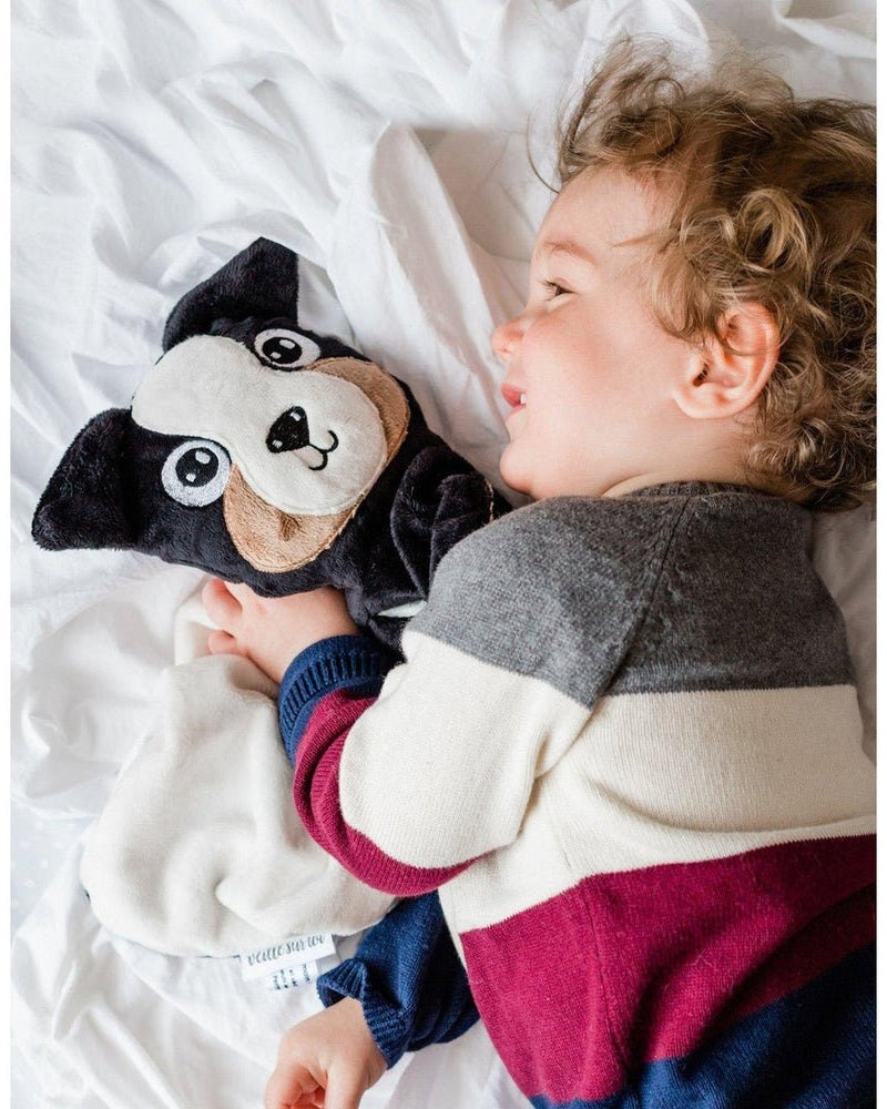 Doudou - Chien Bernard -Peluches- Boutique LeoLudo-Veille sur toi