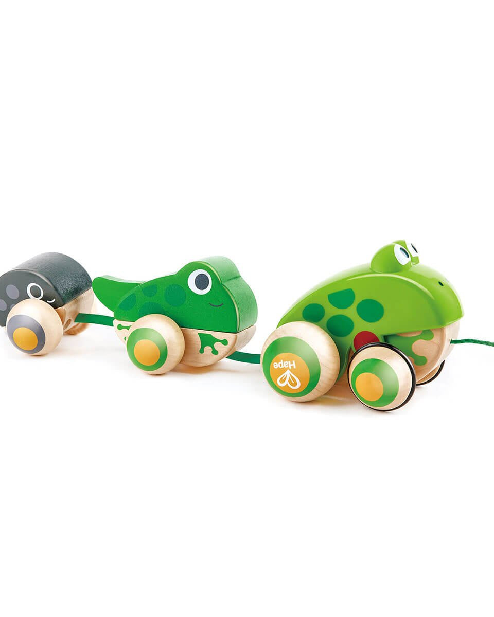 Famille de grenouilles à promener - Jouets à tirer / pousser - Boutique LeoLudo - Hape